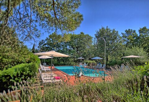 Sole Nel Prato: Property, Real Estate, Tree, Nature Reserve, Sky, Botany, House, Swimming Pool, Leisure, Garden
