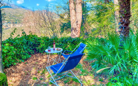 Olivi Del Mesco - Levanto: Vegetazione, Blu Majorelle, Albero, Biome, Paesaggio Naturale, Foresta, Riserva Naturale, Pianta, Giungla, Impianto Terrestre