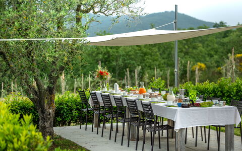 Borgo Gerlino: Ombrello, Tavolo, Tavolo Esterno, Giardino, Cortile, Mobilia, Erba, Backyard, Terrazza, Prato