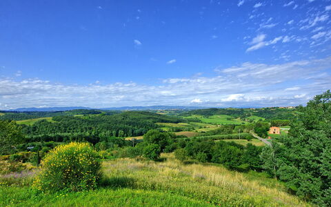 Casa Legoli: Paesaggio Naturale, Cielo, Natura, Verde, Vegetazione, Pascolo, Ambiente Naturale, Blu, Collina, Erba