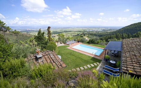 Al Mennucci: Proprietà, Paesaggio Naturale, Erba, Area Rurale, Casa, Lotto, Villetta, Immobiliare, Albero, Paesaggio