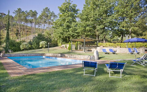 Broccolo: Piscina, Proprietà, Immobiliare, Backyard, Casa, Tempo Libero, Erba, Casa, Costruzione, Estate
