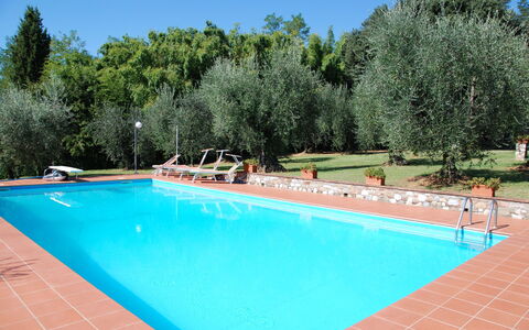 Casa Tonio: Piscina, Proprietà, Tempo Libero, Immobiliare, Vacanza, Erba, Albero, Costruzione, Casa, Centro Ricreativo