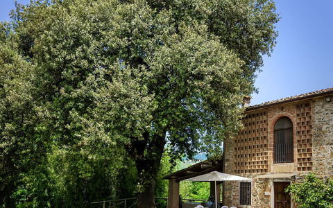 Casa Tonio: Albero, Proprietà, Woody Impianto, Pianta, Casa, Primavera, Architettura, Erba, Arbusto, Costruzione