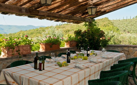 Casavecchia: Table, Plant, Flower, Property, Furniture, Tableware, Flowerpot, Bottle, Chair, Tablecloth