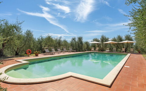 La Fonte: Giardino, Hacienda, Landscaping, Estate, Piscina, Cortile, Villa, Ricorrere, Eco Hotel, Backyard