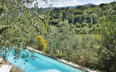 Ricavoli: Swimming Pool, Water, Natural Landscape, Property, Nature Reserve, Tree, Wilderness, Water Resources, Vacation, Lake