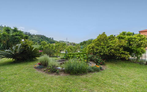 Casa Melograno: Vegetation, Shrub, Garden, Landscape, Plant Community, Groundcover, Woody Plant, Botanical Garden, Lawn