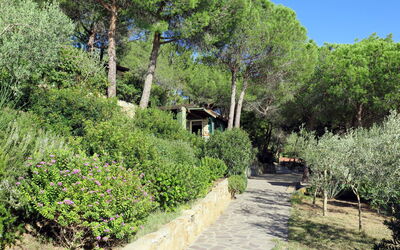 Alloggio:&nbsp;Piccola Oasi 9 674.7