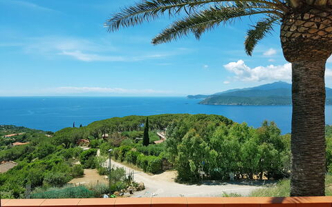 Capoliveri 675: Vegetation, Property, Tree, Blue, Sky, Azure, Palm Tree, Tropics, Real Estate, Sea