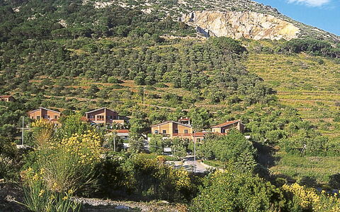 Lacona 615: Vegetazione, Geografia Montane, Paesaggio Naturale, Montagna, Natura Selvaggia, Albero, Cielo, Hill Station, Collina, Riserva Naturale