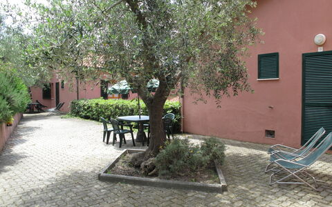 Lacona 615: Pianta, Finestra, Mobilia, Costruzione, Foglia, Manto Stradale, Albero, Erba, Urban Design, Zona Residenziale