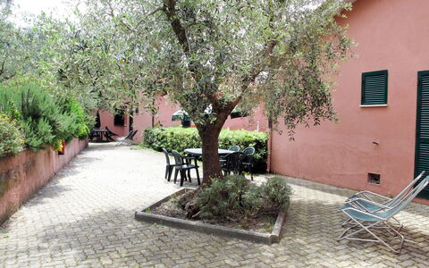 Lacona 615: Proprietà, Albero, Immobiliare, Casa, Cortile, Architettura, Costruzione, Woody Impianto, Pianta, Casa
