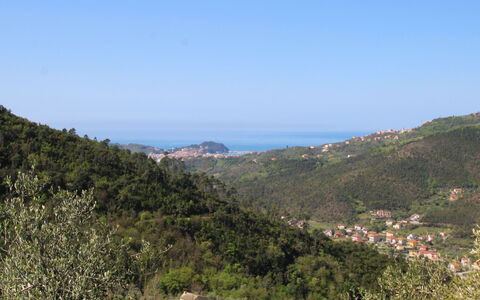 Zia Maria: Cielo, Pianta, Costruzione, Giorno, Proprietà, Albero, Urban Design, Quartiere, Zona Residenziale, Woody Impianto