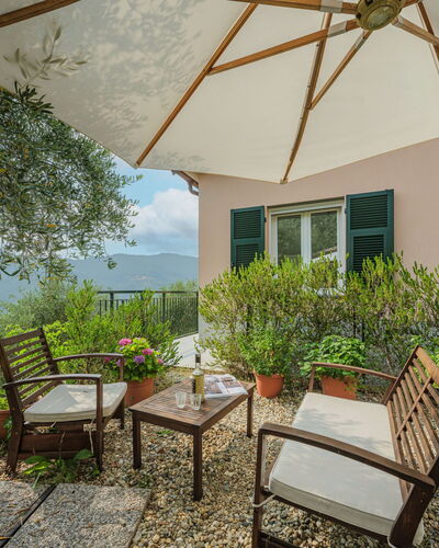 Zia Maria: Plant, Furniture, Property, Building, Window, Shade, Outdoor Furniture, Interior Design, Chair, Wood
