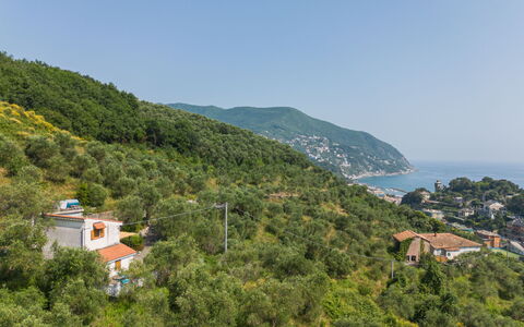 Casa Nueva: Geografia Montane, Montagna, Collina, Vegetazione, Paesaggio Naturale, Highland, Paesaggio, Hill Station, Comunita 'Impianto, Terreno