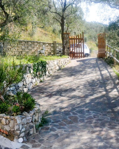 Casa Nueva: Plant, Property, Tree, Road Surface, Vegetation, Land Lot, Flower, Natural Landscape, Grass, Shade