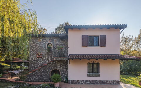 Grande Quercia: Plant, Building, Sky, Property, Window, Tree, House, Yellow, Land Lot, Cottage