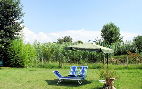 Anna: Riserva Naturale, Verde, Erba, Albero, Proprietà, Mobilia, Tavolo, Botanica, Graminacee, Immobiliare
