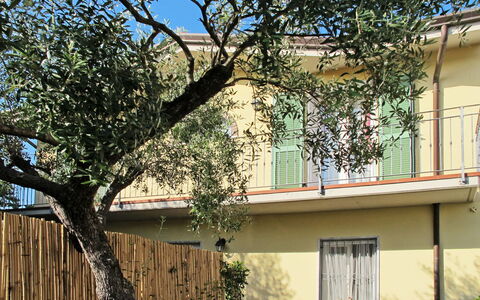 Giuliana: Albero, Proprietà, Casa, Casa, Immobiliare, Quartiere, Architettura, Costruzione, Woody Impianto, Zona Residenziale