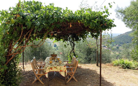 L'Uccelliera: Tree, Botany, Plant, Plant Community, Rural Area, Adaptation, Flower, Table, Shrub, Garden