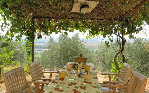 L'Uccelliera: Property, Room, Tree, Furniture, Table, Botany, House, Building, Patio, Yard