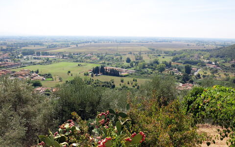 L'Uccelliera: Vegetation, Natural Landscape, Hill, Sky, Plant Community, Chaparral, Shrubland, Tree, Hill Station, Rural Area