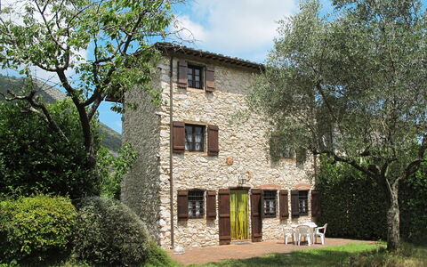 Girasole: Proprietà, Casa, Casa, Costruzione, Villetta, Immobiliare, Estate, Zona Residenziale, Architettura, Albero