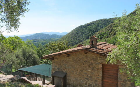 Castagneto: Pianta, Cielo, Montagna, Costruzione, Paesaggio Naturale, Lotto, Albero, Erba, Legna, Paesaggio