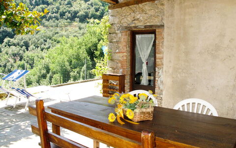 Castagneto: Proprietà, Camera, Mobilia, Costruzione, Casa, Tavolo, Casa, Villetta, Immobiliare, Portico