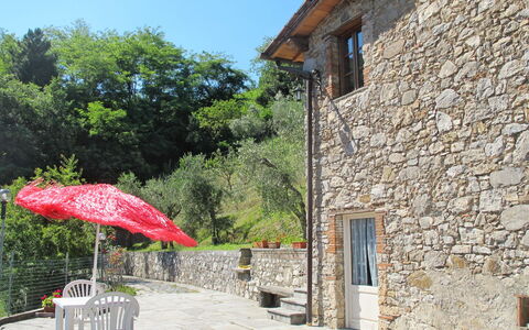 Castagneto: Proprietà, Parete, Casa, Costruzione, Villetta, Villaggio, Vacanza, Area Rurale, Immobiliare, Albero