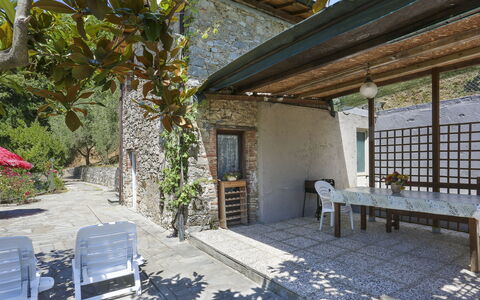 Castagneto: Pianta, Proprietà, Costruzione, Foglia, Shade, Tavolo, Illuminazione, Albero, Legna, Luce Del Sole