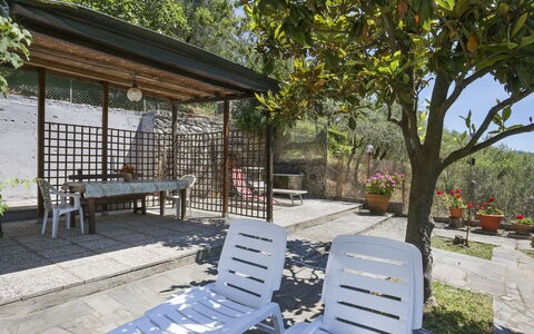 Castagneto: Pianta, Proprietà, Panchina, Shade, Albero, Mobili Da Esterno, Manto Stradale, Cielo, Spazio Pubblico, Zona Residenziale