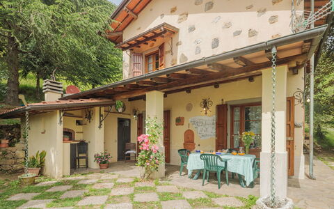La Quercia: Plant, Building, Property, Window, Tree, Door, House, Wood, Cottage, Shade