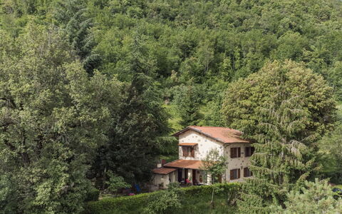 La Quercia: Plant, Plant Community, Window, Natural Landscape, House, Building, Tree, Land Lot, Cottage, Evergreen