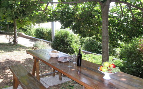 Villetta degli Orti: Table, Tableware, Plant, Furniture, Food, Outdoor Table, Nature, Botany, Outdoor Furniture, Tree