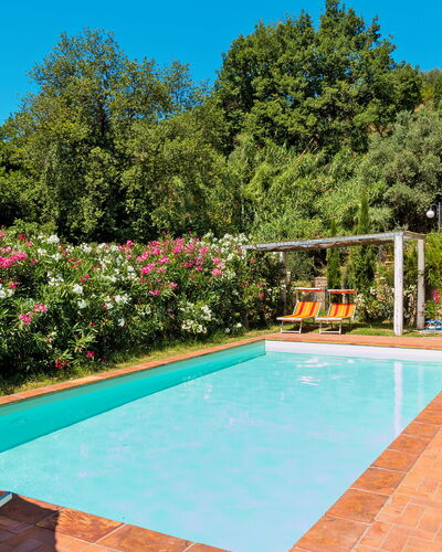 Iacopo: Water, Plant, Property, Sky, Swimming Pool, Nature, Azure, Flower, Shade, Tree