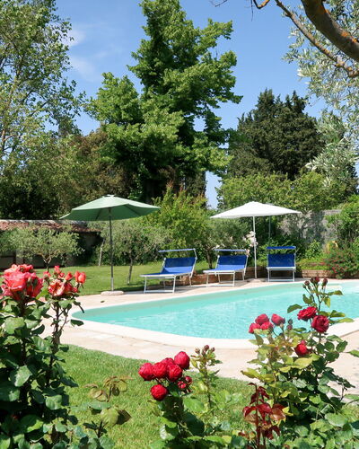 Ambrogetta: Flower, Water, Plant, Sky, Umbrella, Swimming Pool, Building, Tree, Leisure, Chair