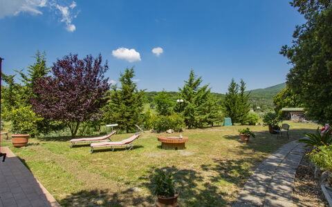 Elisa: Nube, Pianta, Cielo, Proprietà, Paesaggio Naturale, Botanica, Lotto, Shade, Vegetazione, Albero