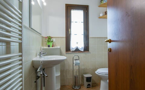 Elisa: Specchio, Costruzione, Proprietà, Idraulico Fixture, Finestra, Viola, Bagno, Lavello, Legna