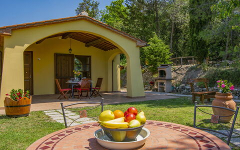 Elisa: Pianta, Proprietà, Costruzione, Vaso Di Fiori, Cielo, Tavolo, Finestra, Porta, Albero, Casa
