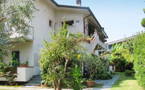 Marina di Massa 621: Property, House, Home, Vegetation, Real Estate, Tree, Residential Area, Yard, Building, Plant