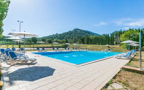 Scarlino 614: Sky, Water, Swimming Pool, Building, Chair, Tree, Outdoor Furniture, Plant, Shade, Sunlounger