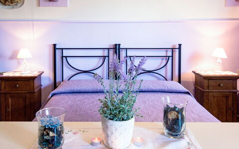 Scarlino 614: Room, Blue, Furniture, Purple, Interior Design, Table, Lavender, Flower, Home, House