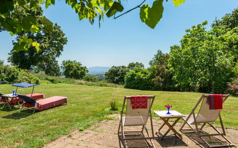 Ginestra: Plant, Sky, Furniture, Table, Green, Natural Landscape, Shade, Tree, Grass, Land Lot