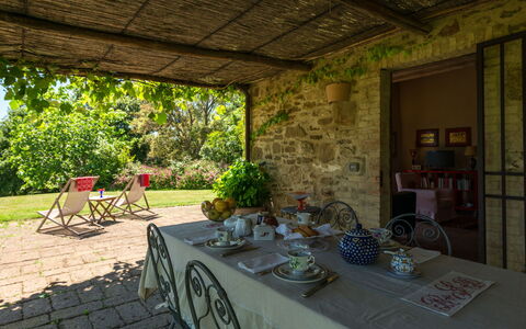 Ginestra: Plant, Table, Furniture, Building, Chair, Flowerpot, Shade, Window, Houseplant, Tree