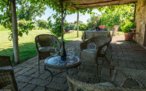 Ginestra: Plant, Furniture, Building, Chair, Botany, Shade, Outdoor Furniture, Architecture, Interior Design, Outdoor Table