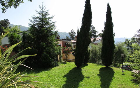 Vittoria: Cielo, Pianta, Albero, Paesaggio Naturale, Lotto, Larice, Sempreverde, Impianto Terrestre, Hedge, Erba
