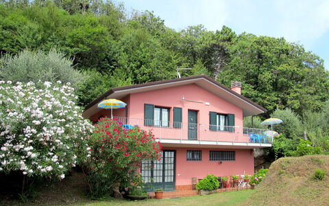 Brugiana: House, Property, Cottage, Home, Real Estate, Building, Roof, Land Lot, Farmhouse, Rural Area