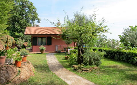 Brugiana: Property, Real Estate, House, Home, Yard, Land Lot, Building, Cottage, Residential Area, Botany